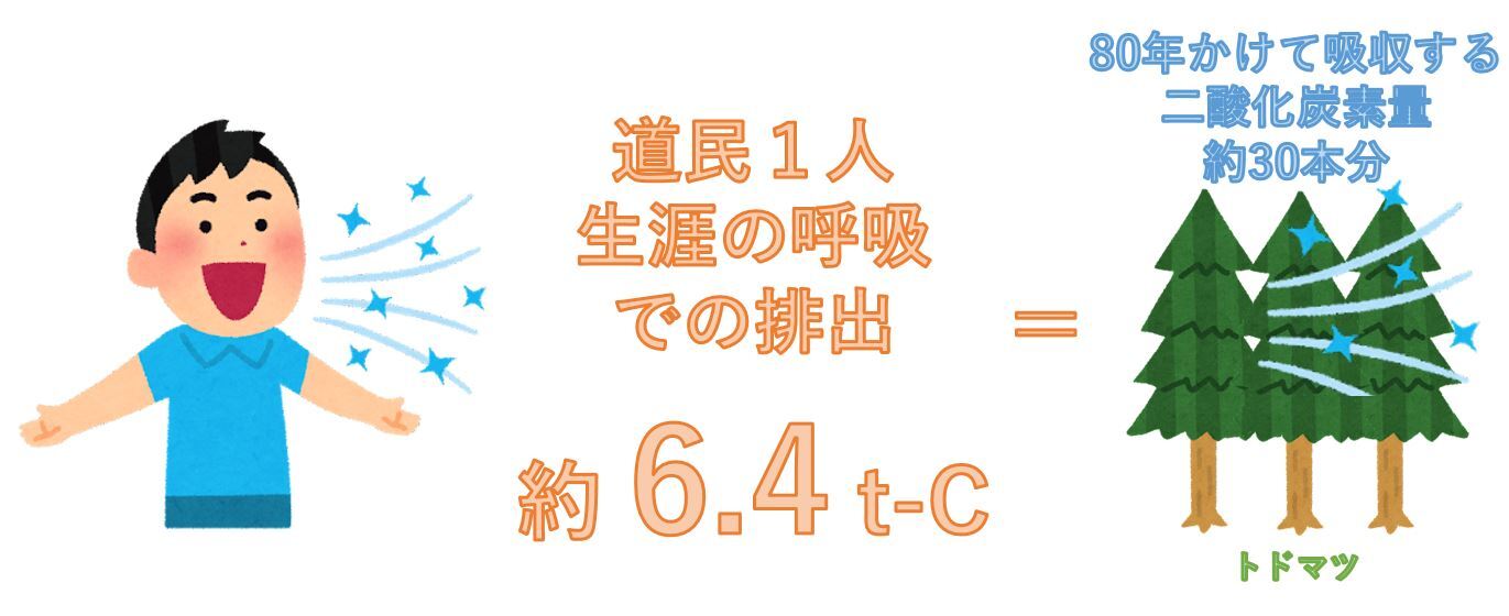 道民1人の生涯の呼吸