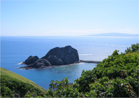 武井の島