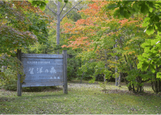 望洋の森公園