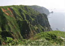 観音岬