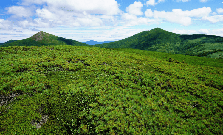 天塩岳道立自然公園